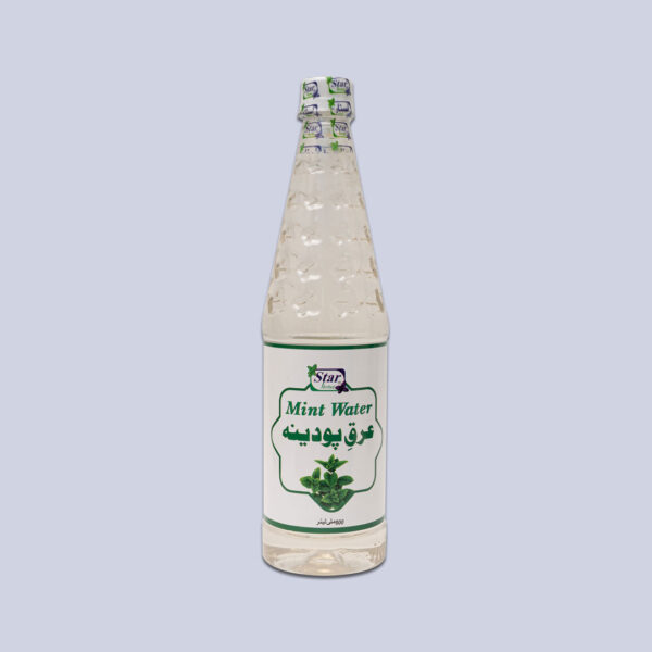 ARQ-E- PUDINA 800ml