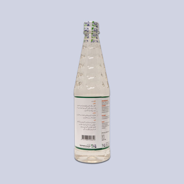 ARQ-E- PUDINA 800ml